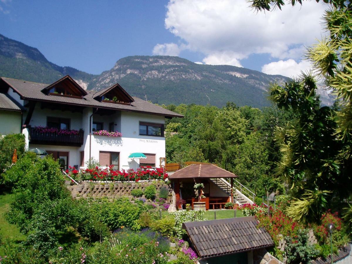 Haus Marion Apartment Appiano Sulla Strada Del Vino Ngoại thất bức ảnh